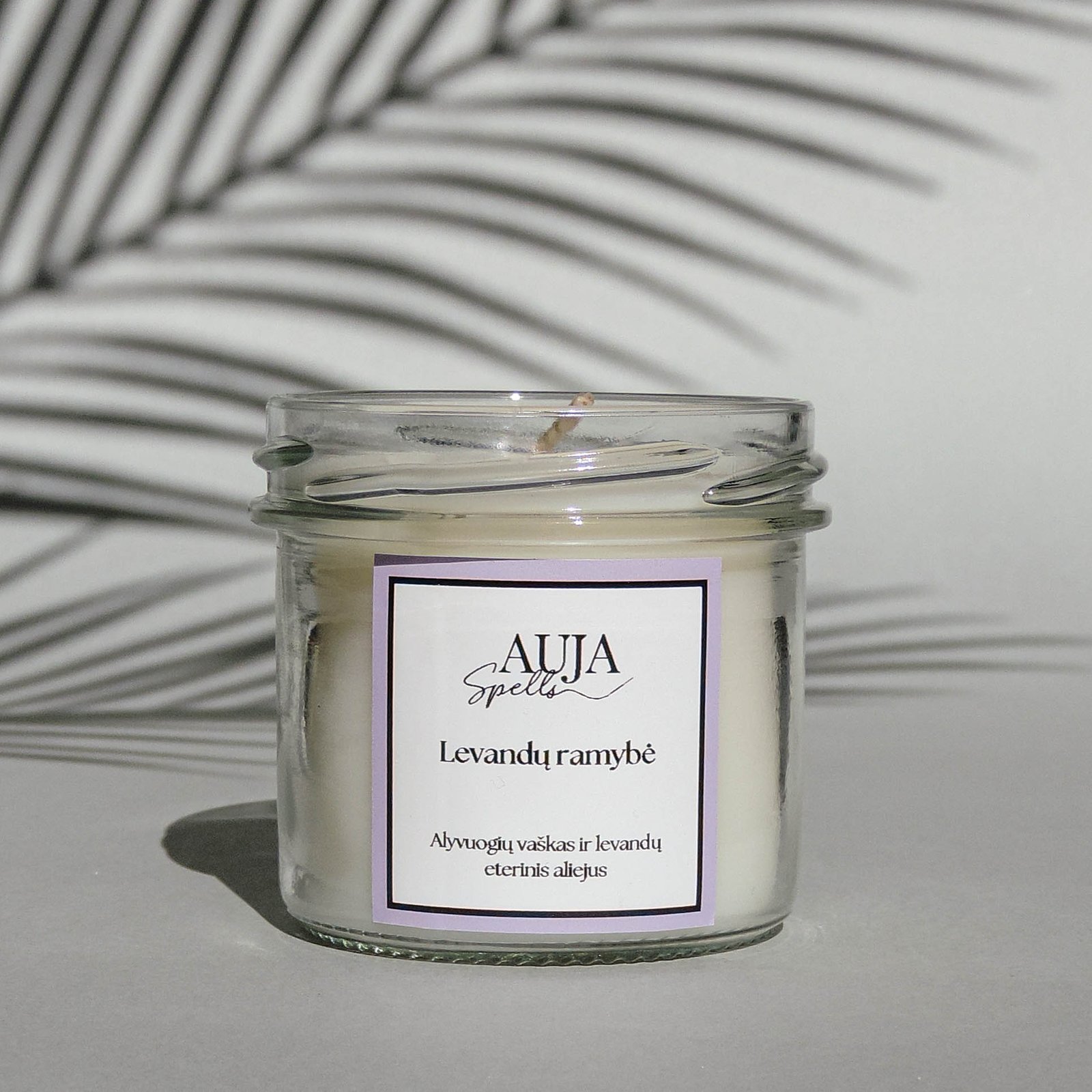 Austėja Krakauskienė (11 of 4)