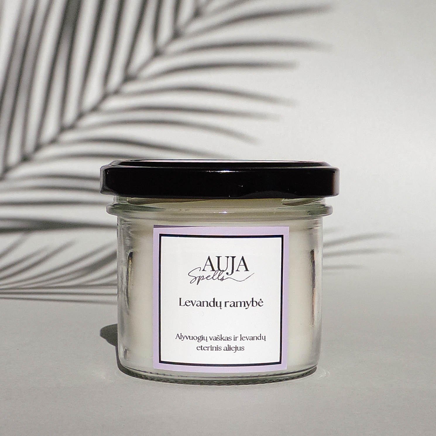 Austėja Krakauskienė (12 of 4)